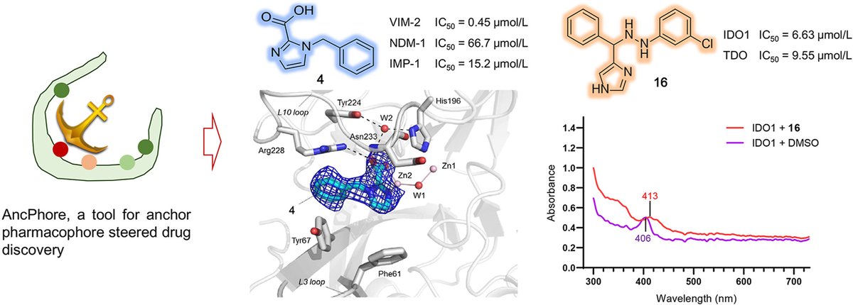 ActaPharmSinB's tweet photo. Article✍️#AncPhore: A versatile tool for anchor #pharmacophore steered drug discovery with applications in discovery of new #inhibitors targeting metallo-β-lactamases and #indoleamine/tryptophan 2,3-dioxygenases. From Dr. Li @sichuanuniversity; @ELSpharma
https://t.co/yn00woWFas https://t.co/TCQ5VG7Z04