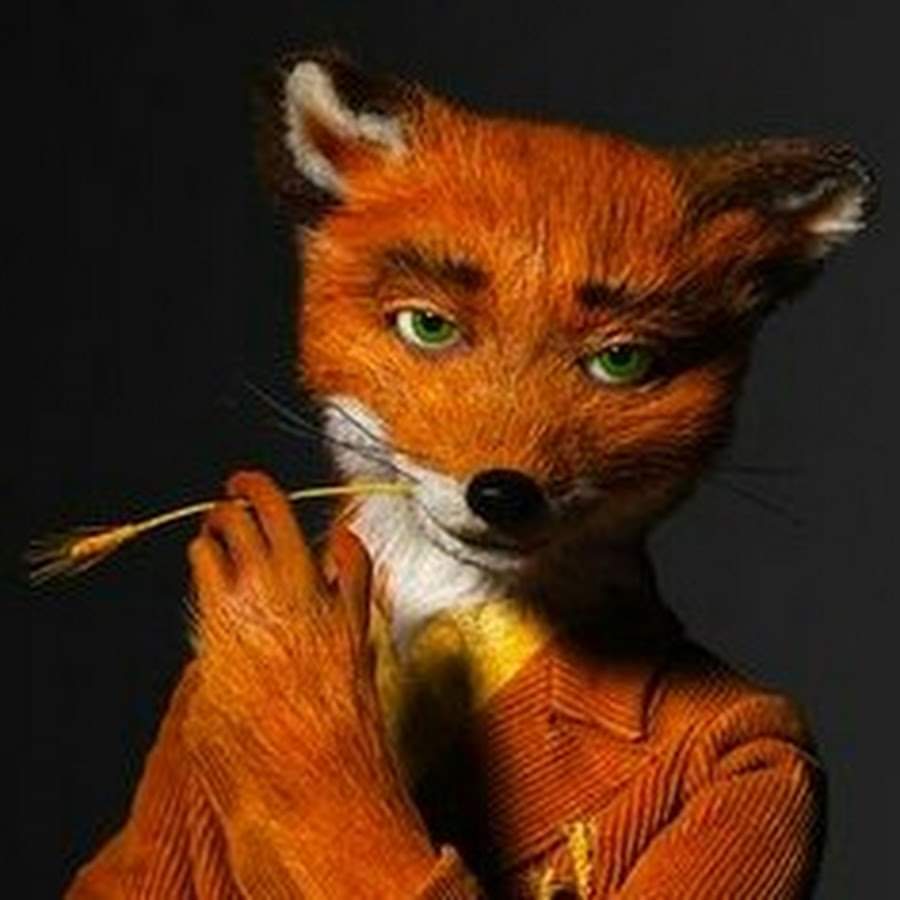 Mister fox