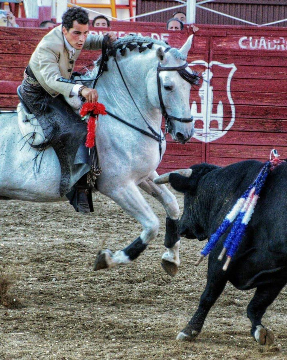 Plaza de toros de Benavente (Zamora)
#MarioPerezLanga #PerezLangaEnEstadoPuro #MPL #Benavente #PuertaGrande 
📸Fotografía David Cristobal