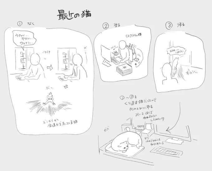 猫です 