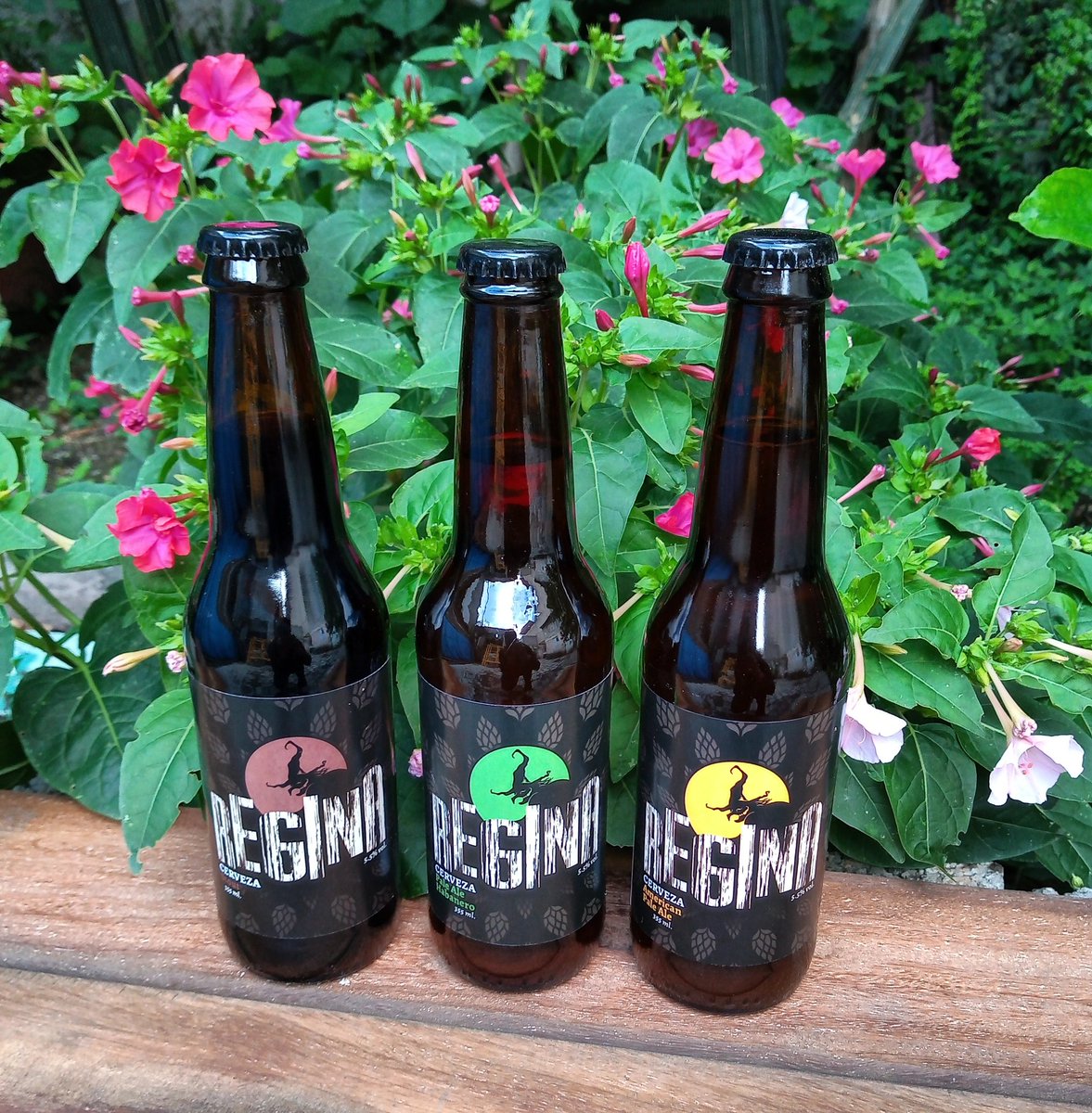 ReginaCerveza's tweet photo. Seguimos en las andadas, actitud de viernes, al 100.
#cervezaregina
#yaesviernes
#actitudal100 https://t.co/AoV6WV3Uee