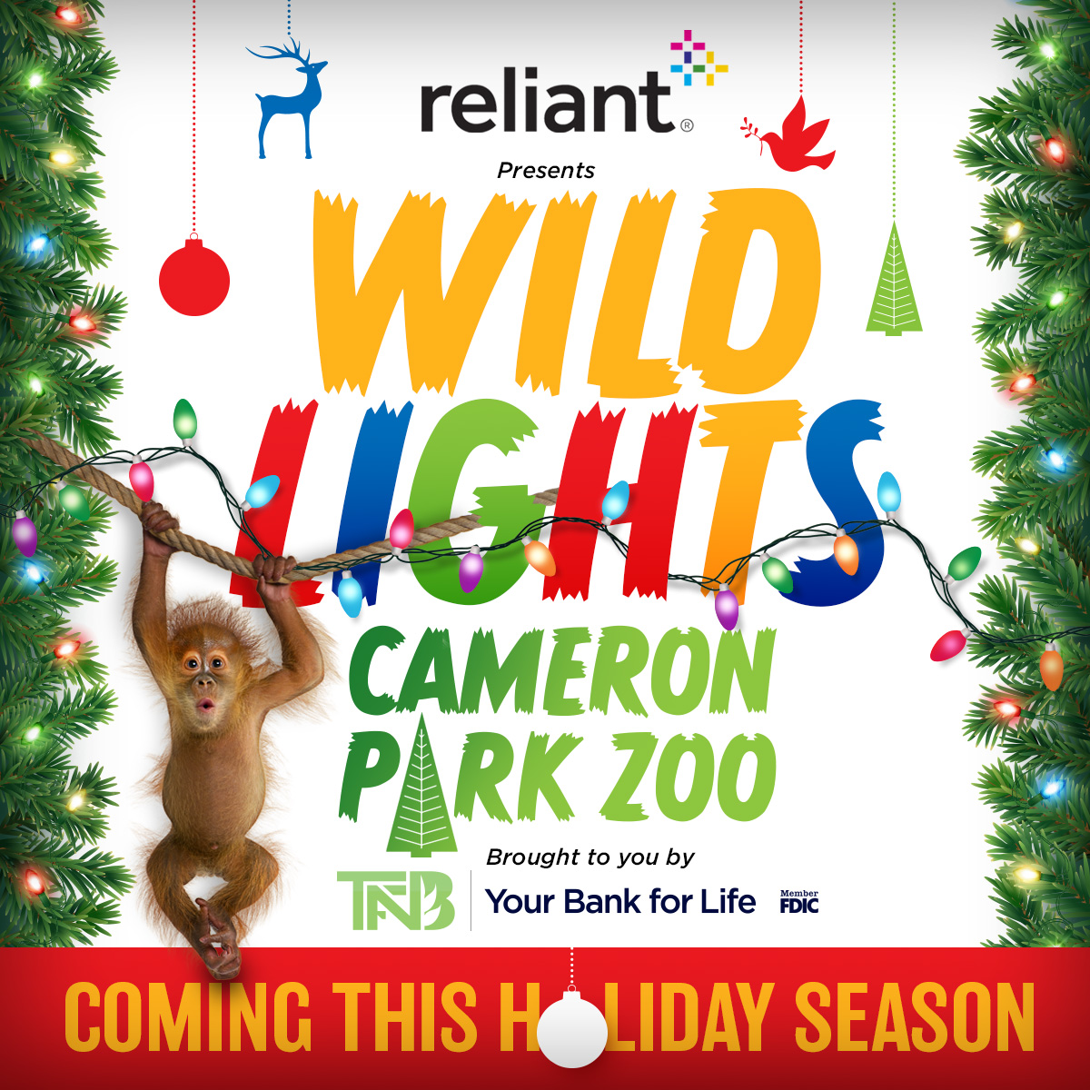 Cameron Park Zoo (@camparkzoo) on Twitter photo 