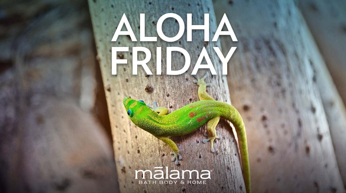 MalamaBath's tweet photo. It's Aloha Friday! Stay cool–stay safe! And remember to share aloha wherever you go!

https://t.co/MooH6nv2o4

#handmadesoaps #soapmaking #coldprocesssoap 
#luxurysoap #homemadesoap #cpsoapmaker 
#giftideas #soapdesign #naturalsoap 
#hawaii #TropicalVibes #smallbusinesslove https://t.co/d5poWqtzlY