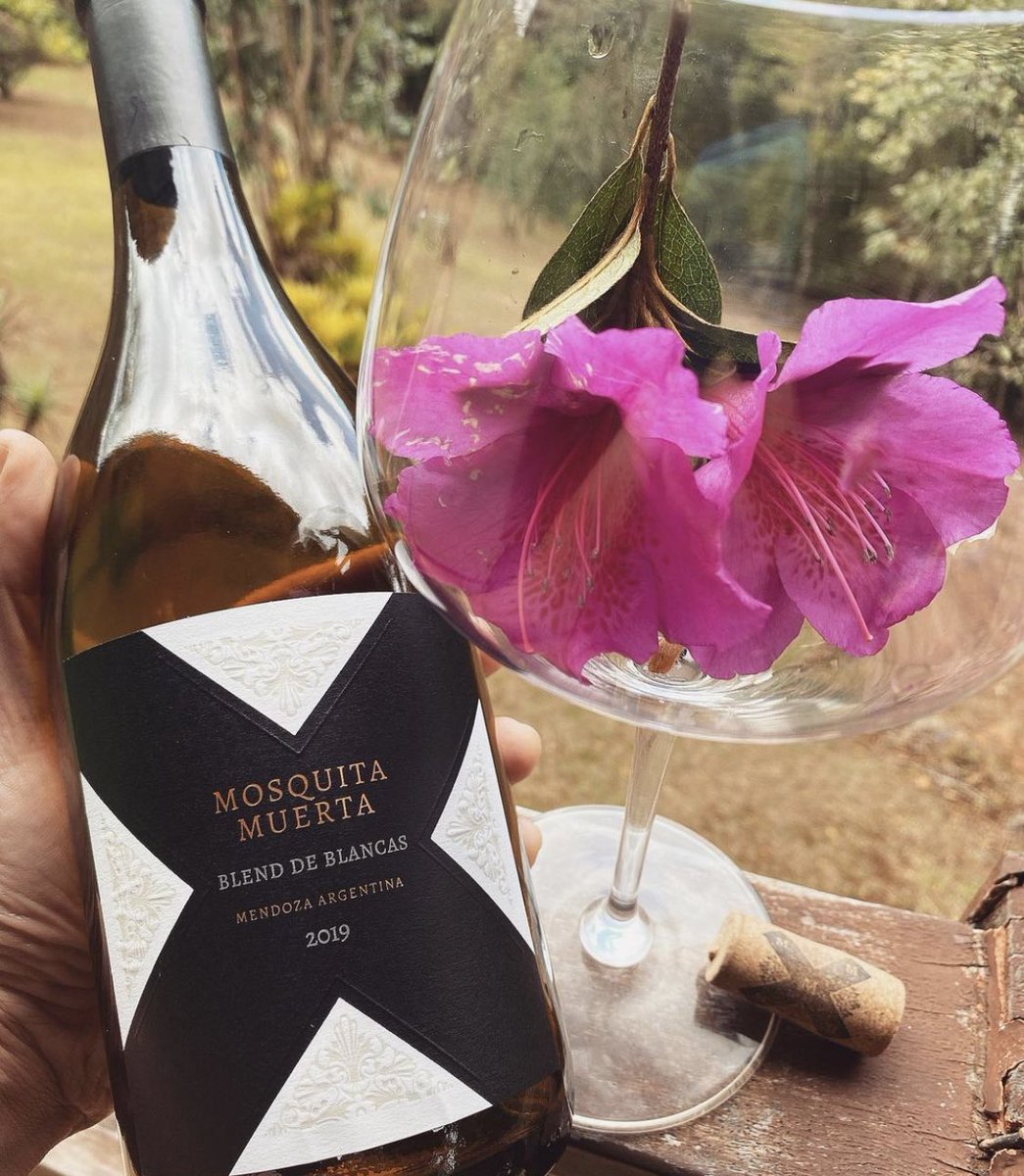 #MMWines / Viernes florecido de <a href="/MMwines/">Mosquita Muerta</a> #BlenddeBlancas! ¿Cómo será tu #MomentoMMWines de esta semana? 

¡Sumate al #EfectoMMWines!

PH: Instagram.com/fleury_sommeli…