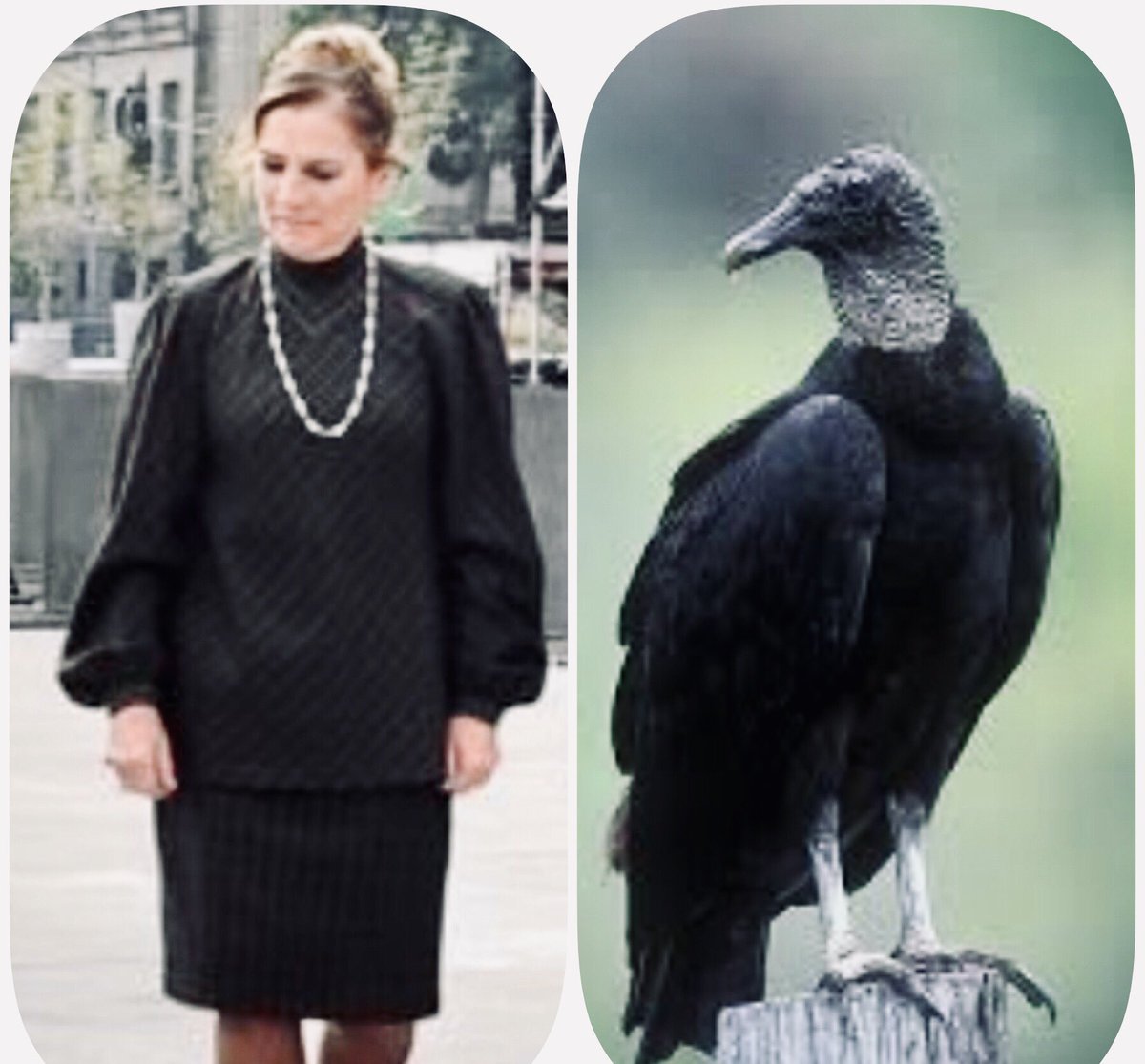 Encuentra las diferencias 🤔