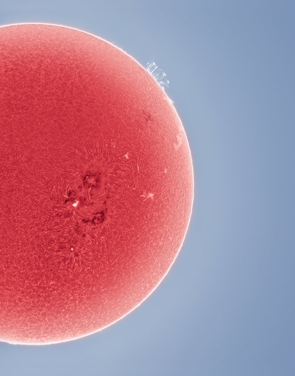 Andrew McCarthy tweet media