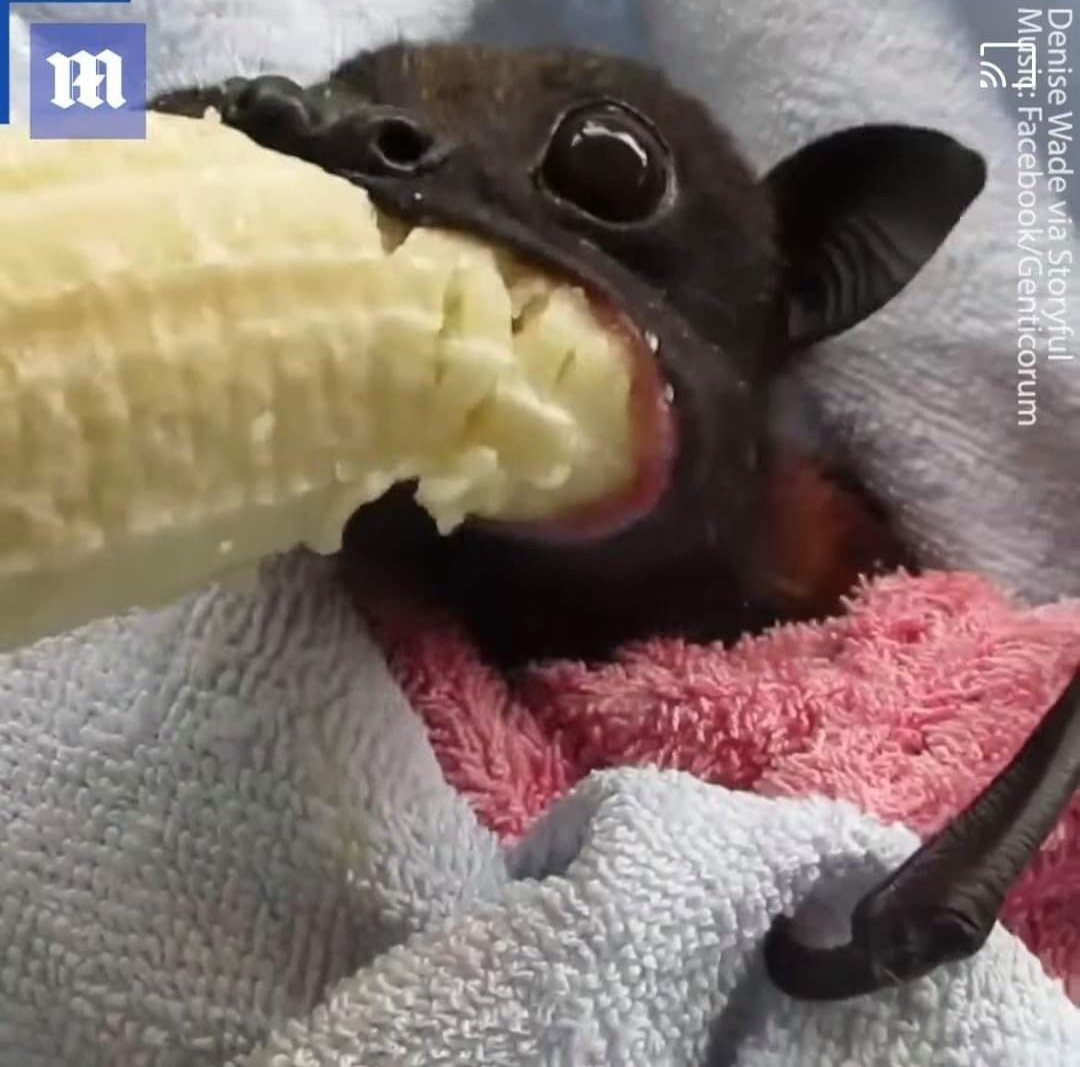 T8t3rTh0t's tweet image. Me and someone's son.