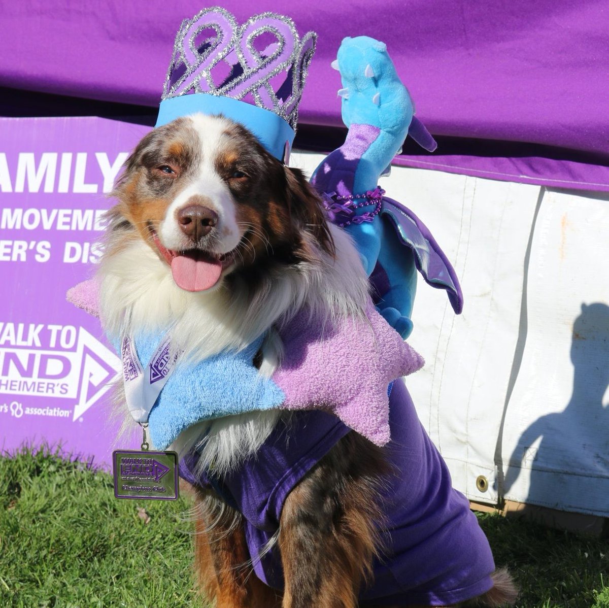 alzorswwa's tweet photo. Let's give some love to all the dogs today. All of them. #ENDALZ #Walk2EndAlz #Dogs2EndAlz https://t.co/gxmIm2qGSi