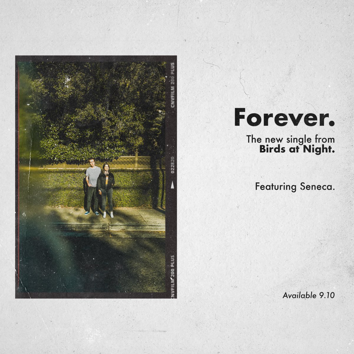 went ahead and named the next one after how long it took to finish it. “forever” featuring <a href="/pettee_seneca/">seneca pettee</a>. out everywhere friday, sept. 10. pre-save it on spotify via the link in bio ✨

📷: <a href="/britobrien_/">brit o’brien</a>