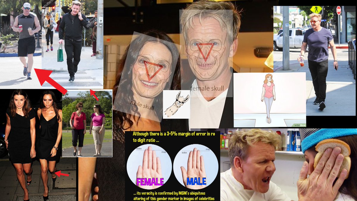 Gordon RAMsay left/gordons female GAIT/below 2 Boysknees together/mid pic you and your Husband got the WRONG heads/right female Digit Ratio/above the female gait @GordonRamsay #egicouples #egibasics https://t.co/bu6wPDX0wp
