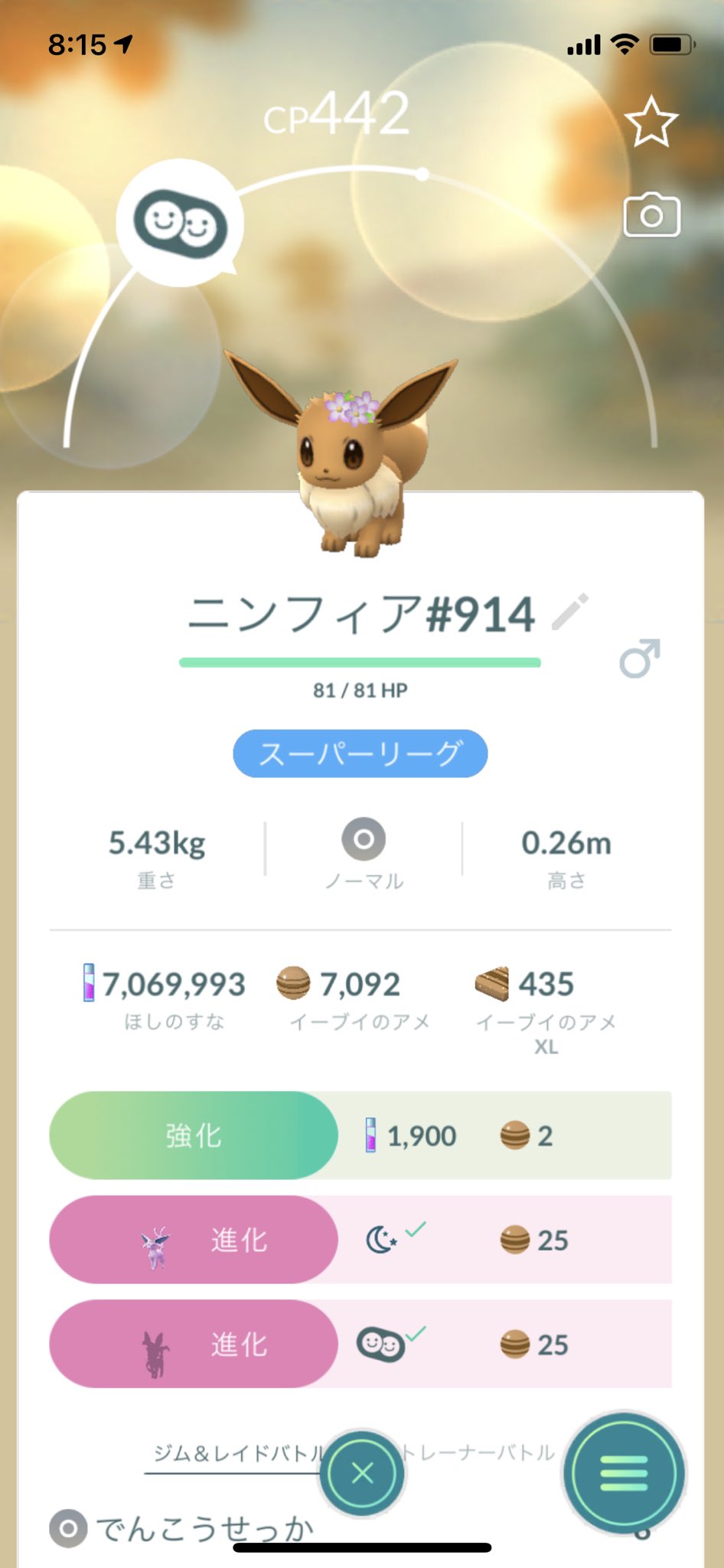 花飾りニンフィア Twitter Search Twitter