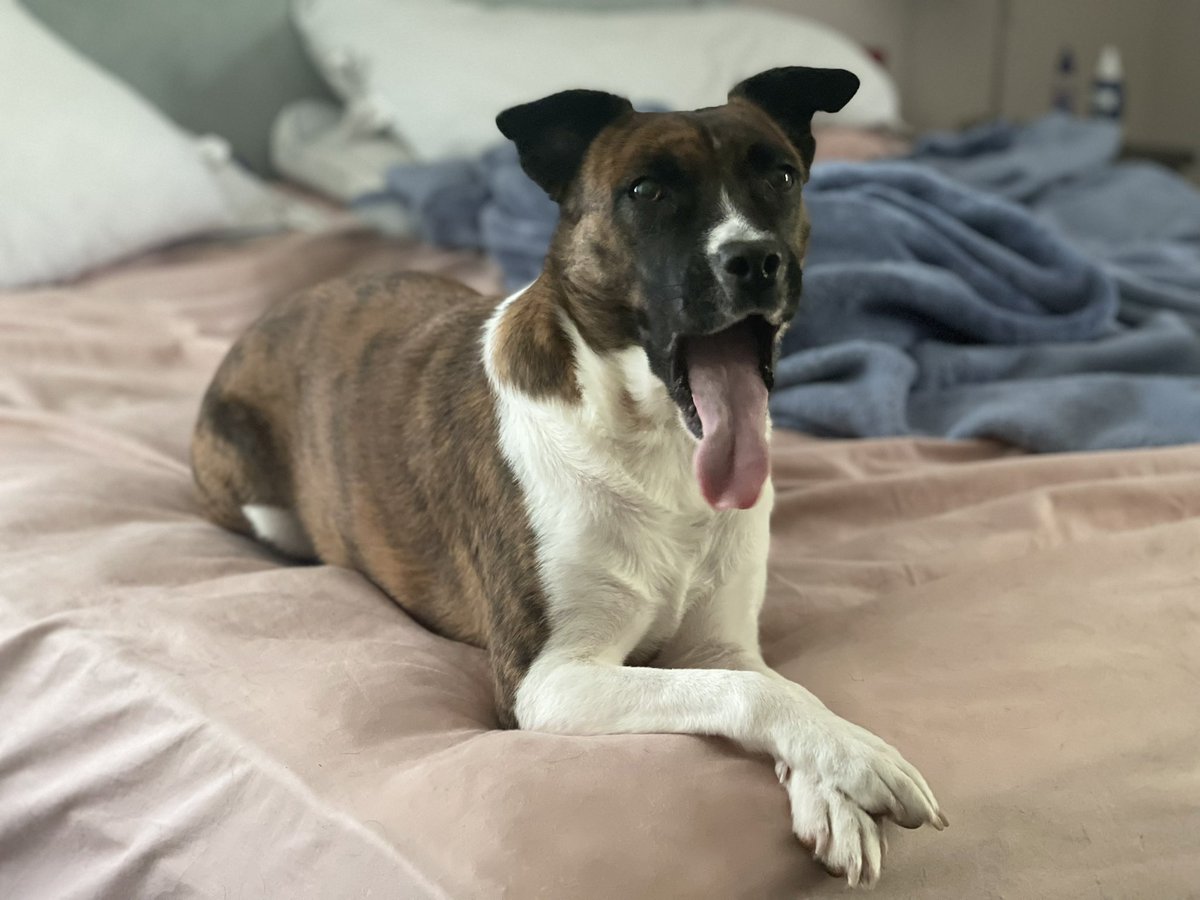 JBsoDope's tweet photo. Big yawn https://t.co/2FMUKBZcLF