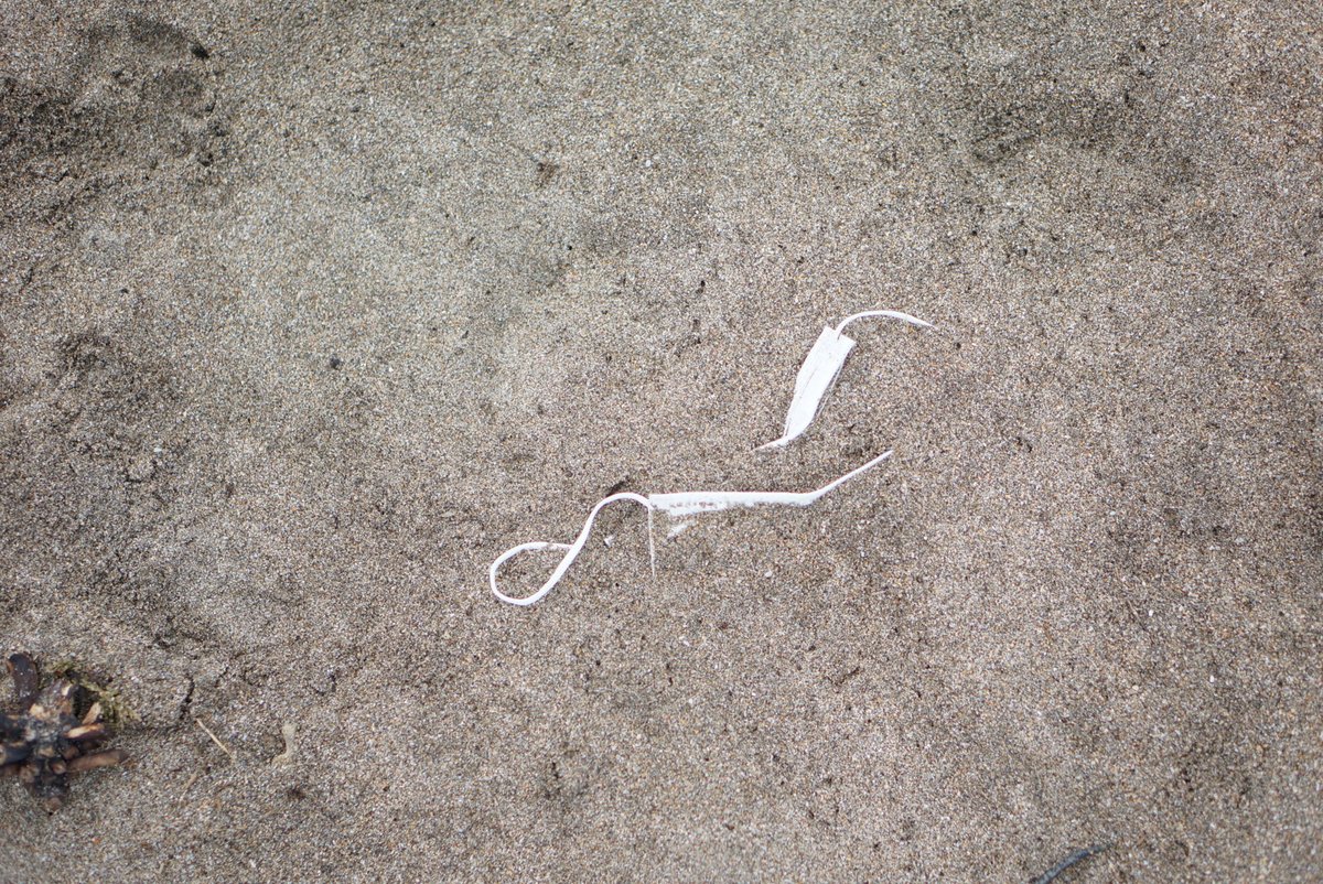 toshib9's tweet image. 都会ってゴミ目立たないけど、そもそも自然物が無くて、人工物であるゴミが目立たない。

だからゴミが宙に浮くようになれば都会の夕焼け空にゴミが浮きでて、みんな意識するんじゃないかな。

妄想の話