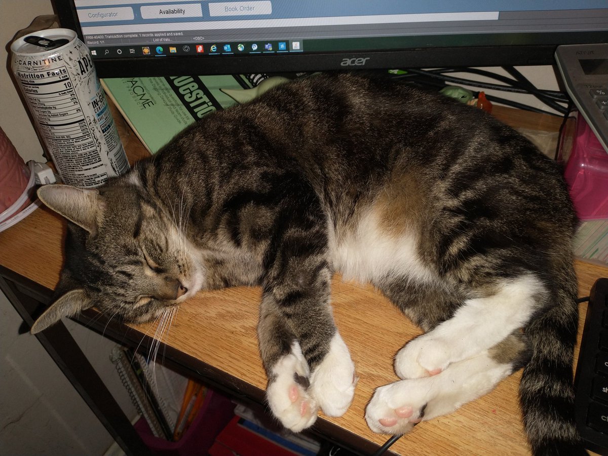 YearoutRobin's tweet photo. My Chunky Work Buddy Mittens @joebonsall https://t.co/ob3qajseCt