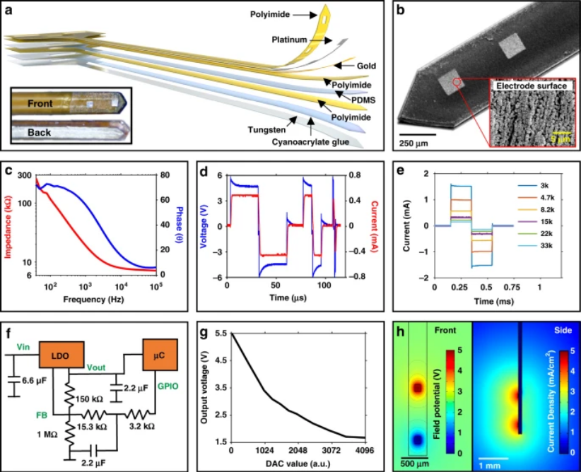 The Science of Parkinson's (@scienceofpd) on Twitter photo Interesting: <a href="/PhilippGutruf/">Philipp Gutruf</a> & colleagues demonstrate a fully implantable, wireless, battery-free platform that allows for chronic deep brain stimulation in rodents with the capability to control stimulation parameters digitally in real time
nature.com/articles/s4137… Interesting: <a href="/PhilippGutruf/">Philipp Gutruf</a> & colleagues demonstrate a fully implantable, wireless, battery-free platform that allows for chronic deep brain stimulation in rodents with the capability to control stimulation parameters digitally in real time
nature.com/articles/s4137…