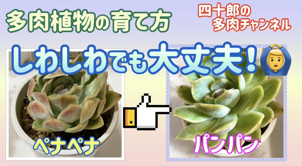 Tweets With Replies By 四十郎 40rou2 Twitter
