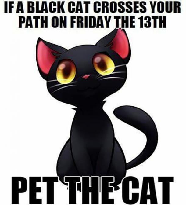 kittyweedcatnip's tweet image. Happy Triskaidekaphobia Day! If you see a black cat cross your path today, stop and pet it! Better yet, get that kitty one of our super potent Big Fatty catnip toys! Karma will surely be on your side then! 🙀😽😻#FridayThe13th #BlackCatsAreGoodLuck #Triskaidekaphobia