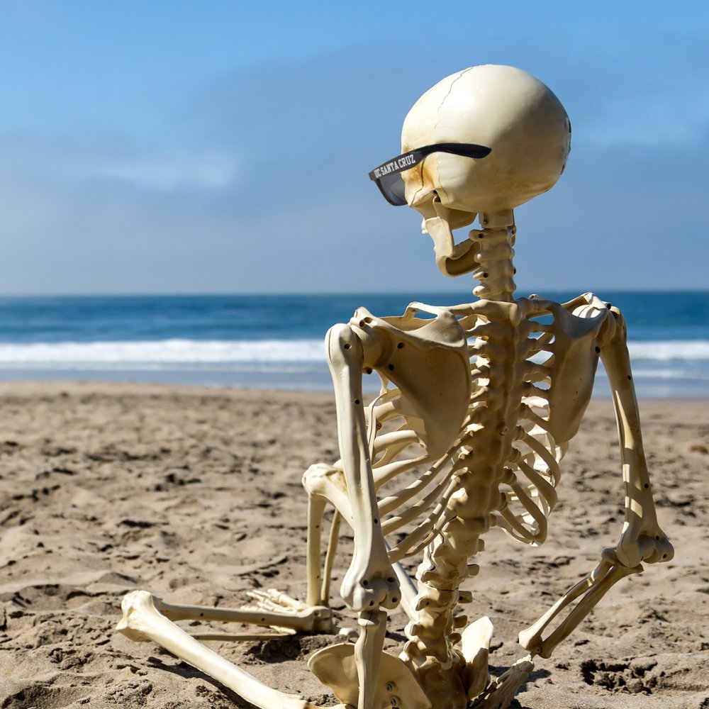 UCSCBayTree's tweet image. Friday the 13th! Stay safe slugs! 😱😎

#ucsc #ucsantacruz #santacruz #baytreebookstore #ucslugs #UCSCstyle