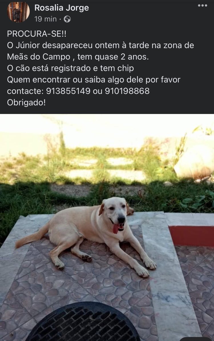 Quem poder partilhar agradeço