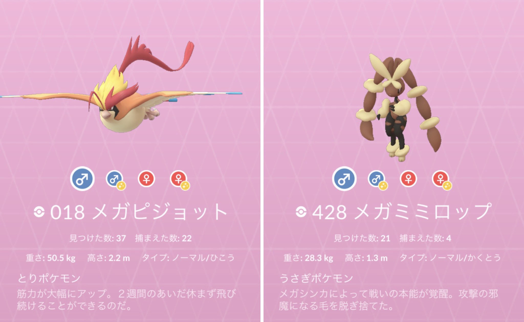 تويتر ポケモンgo部 ロケットニュース24 على تويتر 11時からイーブイのコミュデイ イーブイはノーマルタイプなので ピジョットかミミロップをメガシンカさせておきましょう アメが多くもらえるよ サンジュン T Co Twdqupiert