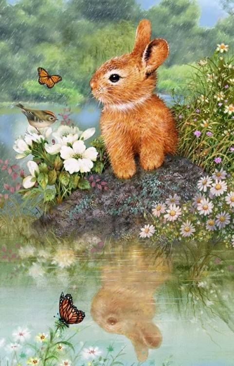 주 (@scjsdo) on Twitter photo 