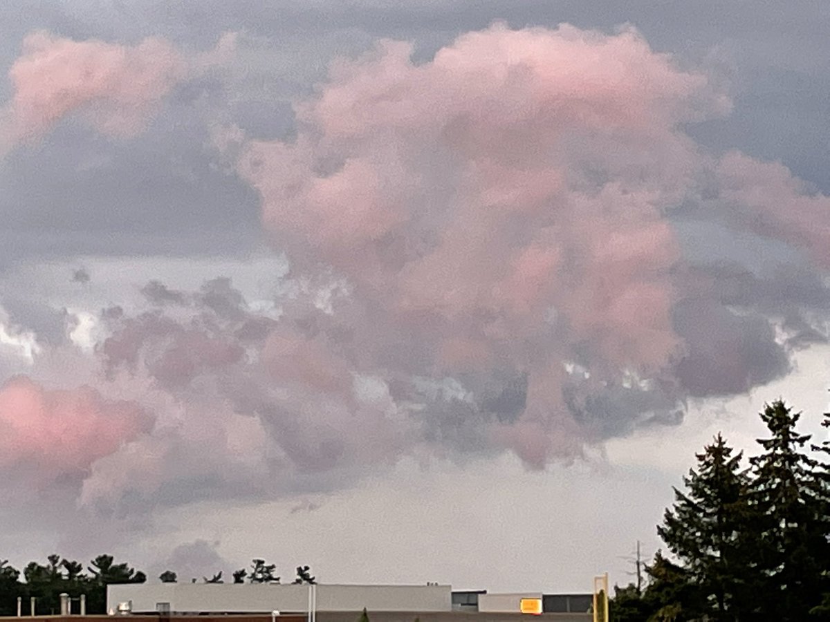 Sometimes baseball is a great backdrop for nature’s beauty