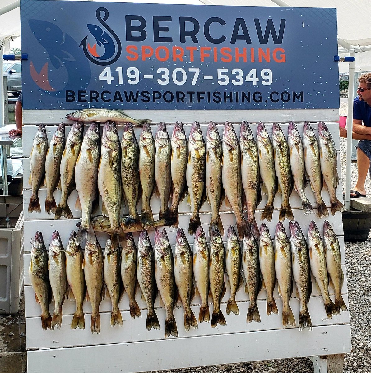 tnbartley's tweet photo. Lake Erie walleye fishery continues to produce quantity &amp; quality. Great weekend with the guys. https://t.co/3LkTl08YjP