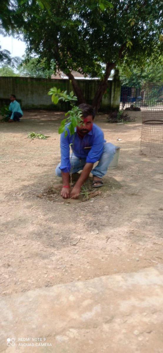 GPBatham's tweet photo. 🌳#प्रकृति_मित्र 🌳 #nature_friend🌳

Name : Vishvnath Singh 
Designation : AT 
Address : UPS Rurua-Phaphund Bhagyanagar Auraiya UP 
@shikshansamvad
@RedTapeMovement 
@teachersclubup @UNEP @UNBiodiversity @ipbes @eriksolheim
साभार : मिशन शिक्षण संवाद प्रकृति मित्र परिवार https://t.co/ez9s8Avafs