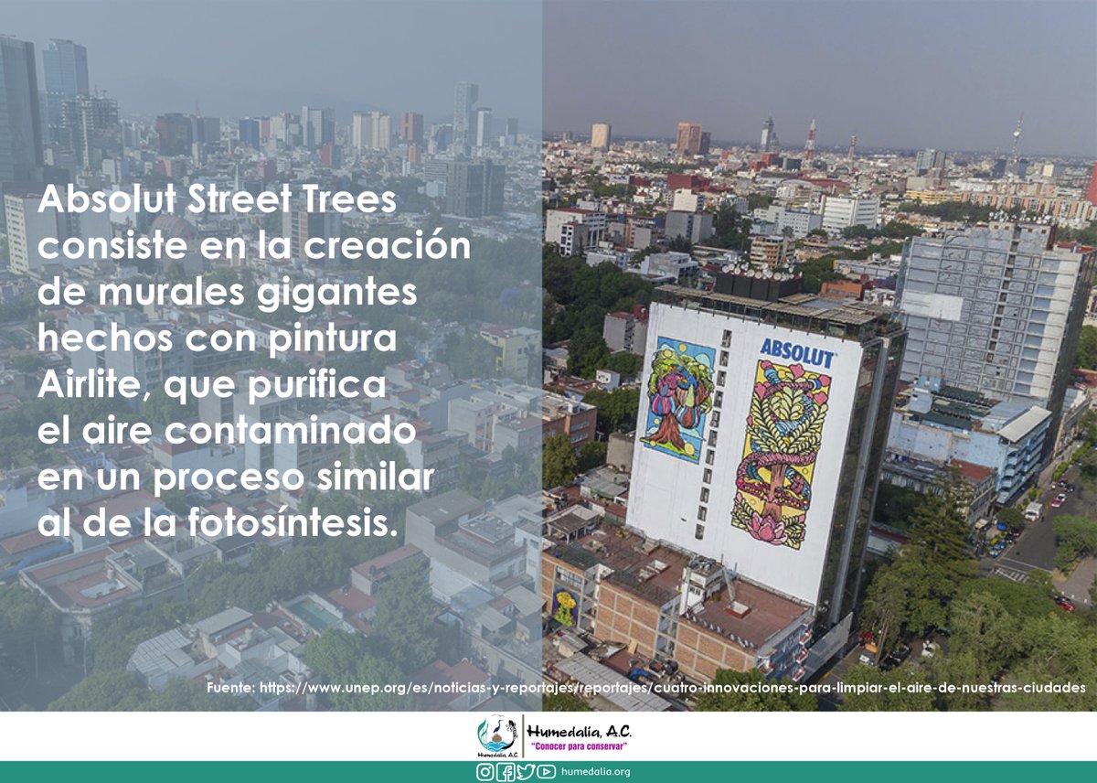 HumedaliaAC's tweet photo. En el marco del #DíaInteramericanoDeLaCalidadDelAire te presentamos 4 iniciativas tecnológicas buscan disminuir la mala calidad de aire de las ciudades. https://t.co/E6kITYK0M6