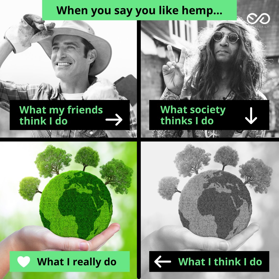 BeEveryDaily's tweet image. Yea it’s true - hemp is that good.
