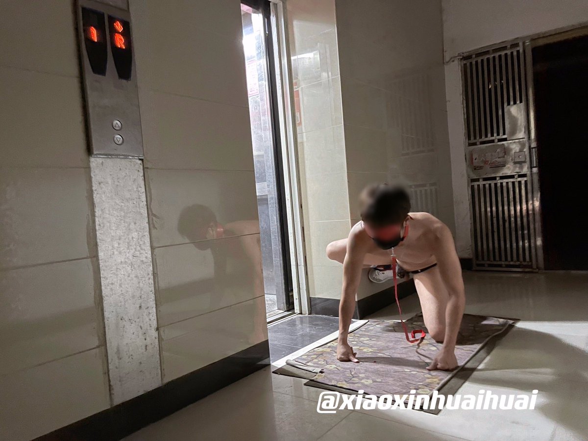 Xiaoxinhuaihuai's tweet photo. 第一次电梯暴露就被社死，晚上戴着锁跟狗链跑去电梯口暴露，发现只要戴着眼罩看不见就会胆子更大，本来想��电梯里出现的小哥哥视奸，突然电梯叮咚一声，门真的开了，无处可逃我只能戴着眼罩保持狗姿不敢动，感觉应该是男的，徘徊了一下然后走了😂结果最后也不知道被谁视奸。。。 https://t.co/OJt1Flr4mU