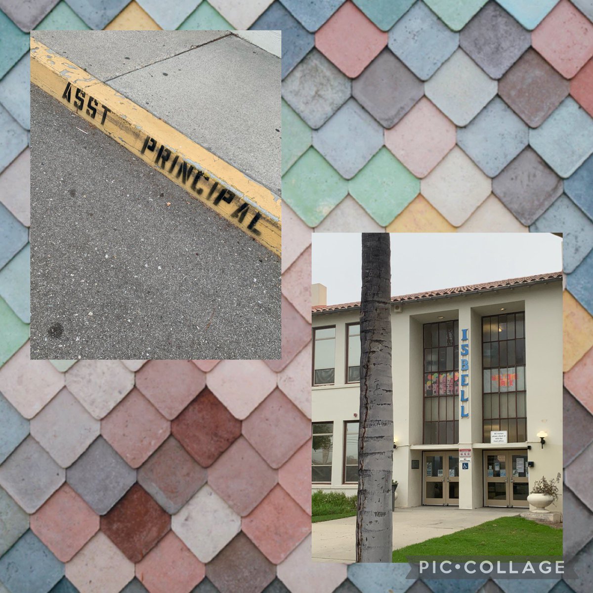 juliemcbAP's tweet photo. Week one is in the books!! Logged more miles than I ever imagined! Reconnected with former students….connected with new ones. A GREAT week!! #CondorsCan @SantaPaulaUSD https://t.co/JhtVrxY3Fu