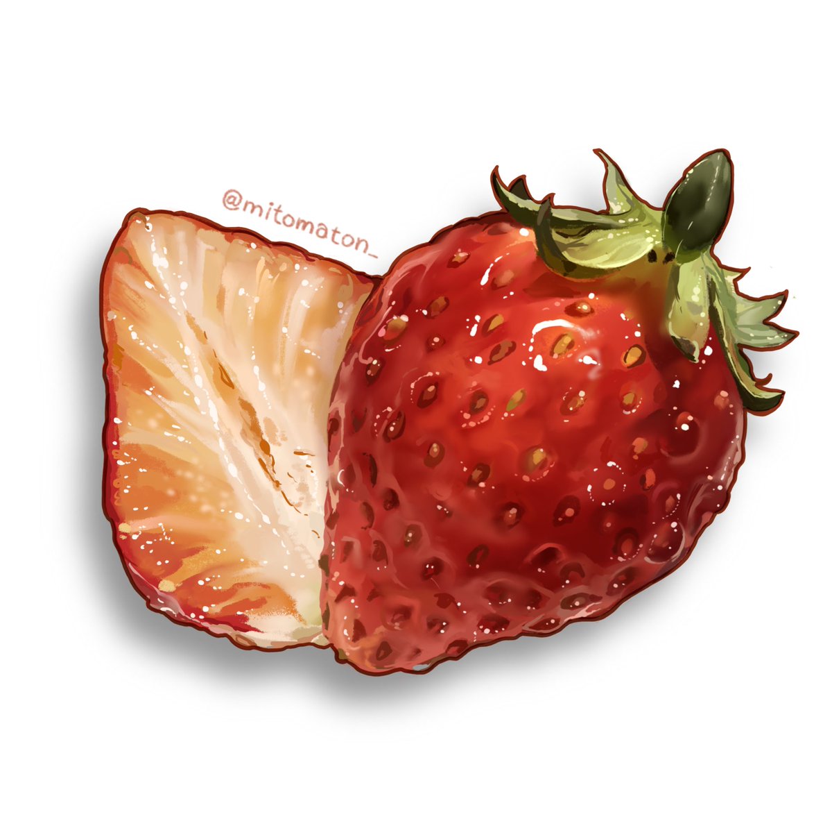 「新しいイラストを描きました!久々のフルーツ、苺のイラストです🍓

I drew」|ミトマトンのイラスト