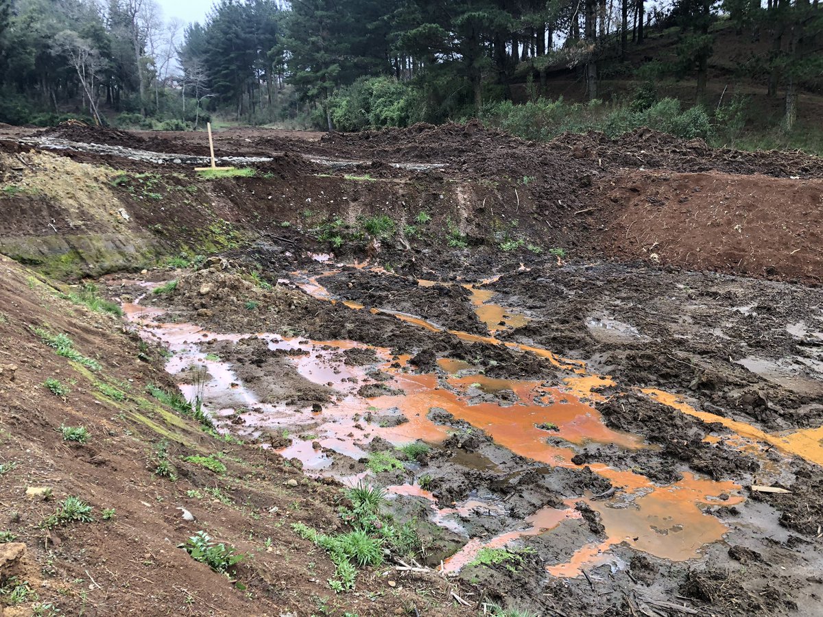 ✅🌳🌿👇Nueva depredacion ambiental y ecocidio de proyecto inmobiliario en Fundo El Carmen. Junto a la comunidad Antonio Huilcapan iniciaremos proceso de fiscalización tras relleno de menoko y tala de bosque nativo que forma parte de la red de humedales, estero Lircay. Ahi vamos
