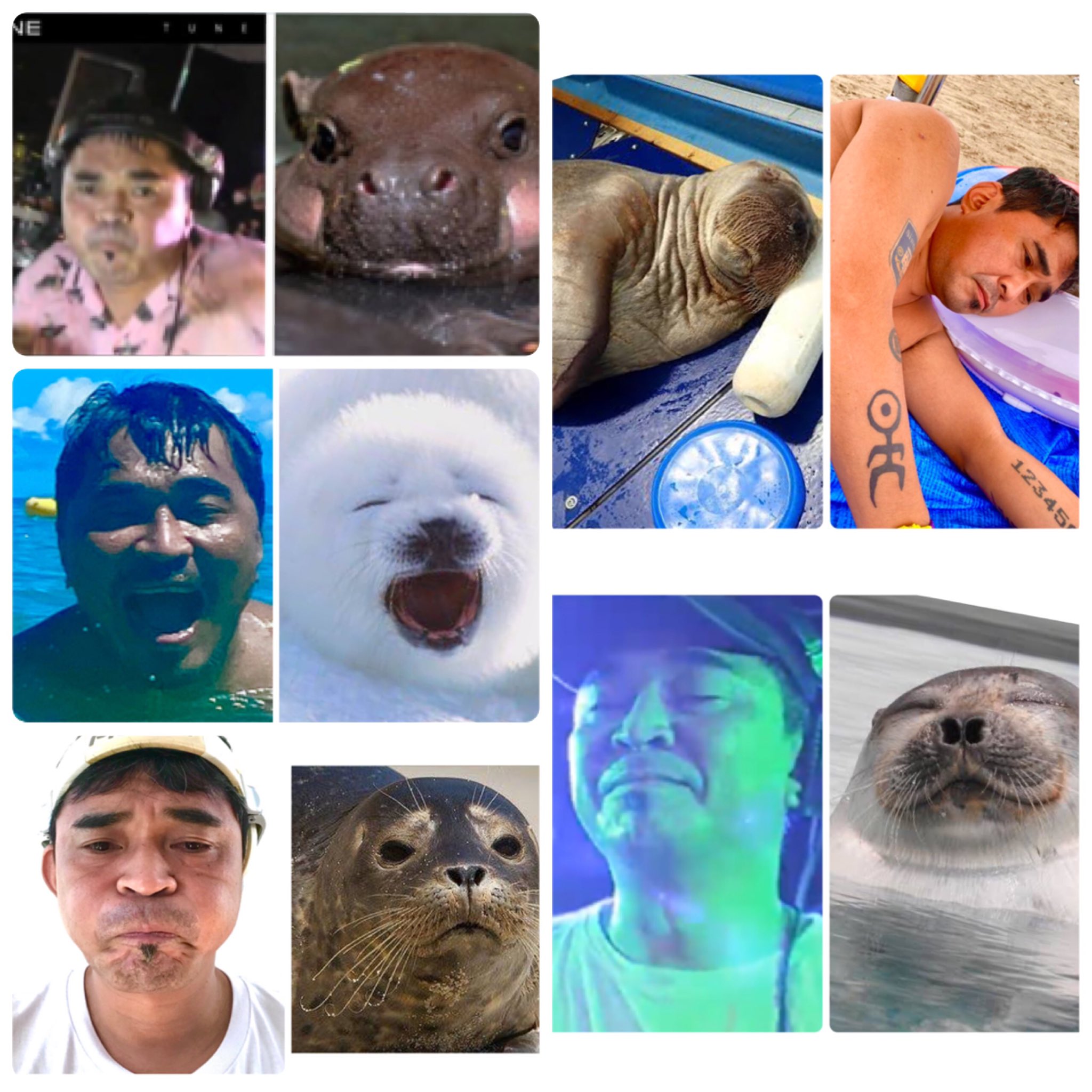 Takkyu Ishino 石野卓球 じゃ オレは海獣系djってことで Twitter
