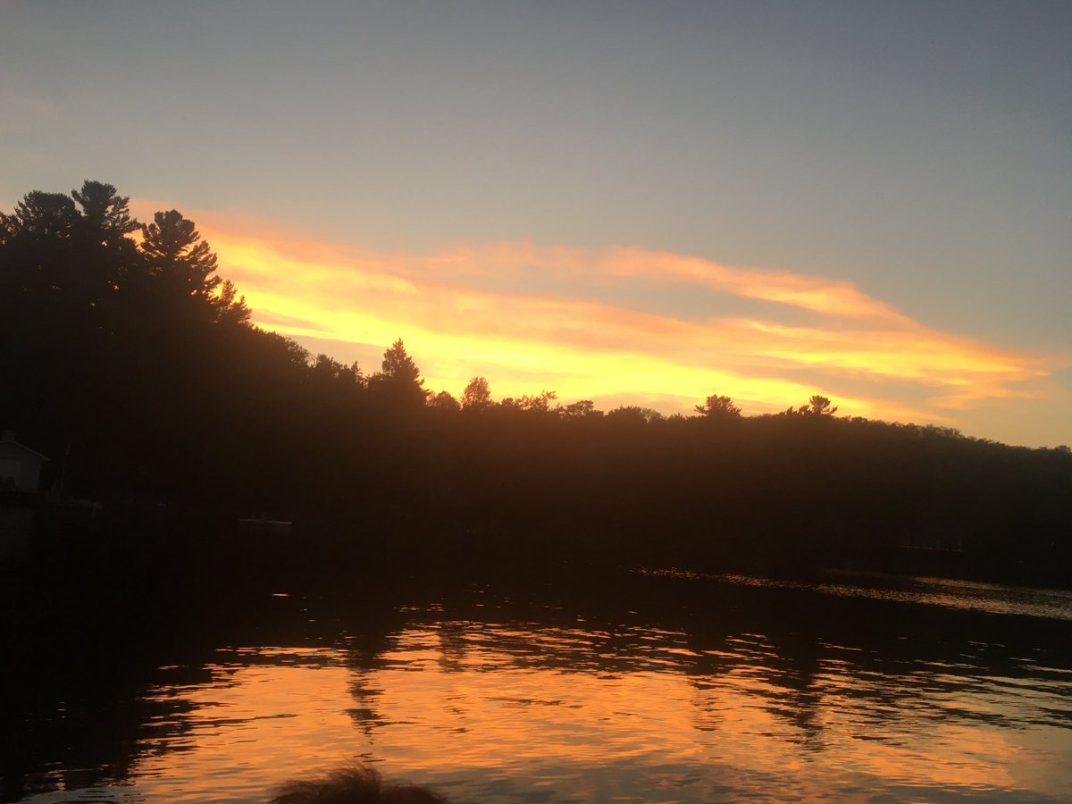 DignityPrincipl's tweet photo. Quiet moments where the mind is free from the pressure and noises of ego, ours and others 

To simply listen, consider, reflect and heal

#Time for #Self is Essential https://t.co/AbLXNcVJ6d