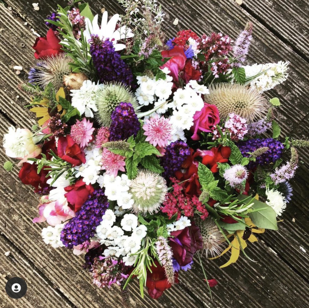 Florence Road Market (@floroadmarket) on Twitter photo Morning! The coffee's tasting gorgeous and Miranda had posies. Also, did we mention <a href="/chillishaak/">chillishaak</a> is back with their legendary bhajis? It's a cracking summer market today. Morning! The coffee's tasting gorgeous and Miranda had posies. Also, did we mention <a href="/chillishaak/">chillishaak</a> is back with their legendary bhajis? It's a cracking summer market today.