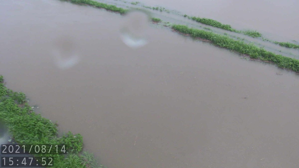 ট ইট র 東海岐阜天気 情報室 美濃加茂市 坂祝町 加茂川 洪水 緊急安全確保 警戒レベル5 美濃加茂市深田町 草笛町 加茂川町 坂祝町酒倉深田地区 加茂川で越水が確認されました 避難できていない方は 直ちに命を守るための最善の行動をとって ট ইট র 東海岐阜天気 情報室 美濃加茂市 坂祝町 加茂川 洪水 緊急安全確保 警戒レベル5 美濃加茂市深田町 草笛町 加茂川町 坂祝町酒倉深田地区 加茂川で越水が確認されました 避難できていない方は 直ちに命を守るための最善の行動をとって