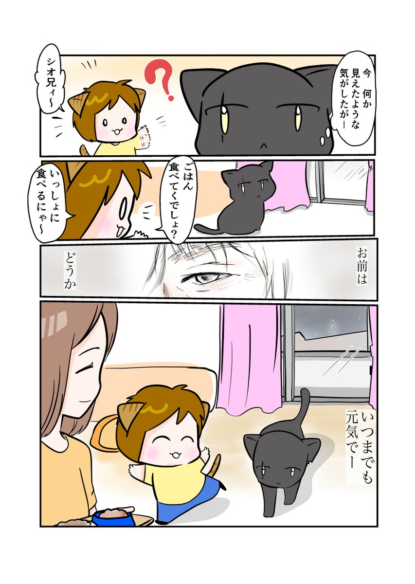 #スパダリにゃんこ 
#くぅの日常 第89話 
思い出はモノクローム

ハイスペックなスーパーダーリン、スパダリ猫を目指すくぅと、飼い主しずくちゃんの日常マンガ。

今回はお盆ネタです。

#創作マンガ #マンガが読めるハッシュタグ 