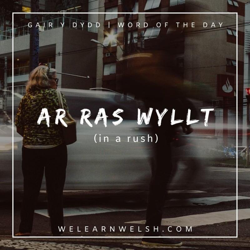 We Learn Welsh (@welearnwelsh) on Twitter photo Gair y dydd / Word of the day: ar ras wyllt (in a rush)
Mae Lisa ar ras wyllt i ffeindio ei ffôn. = Lisa is in a rush to find her phone.
#welsh #cymraeg Gair y dydd / Word of the day: ar ras wyllt (in a rush)
Mae Lisa ar ras wyllt i ffeindio ei ffôn. = Lisa is in a rush to find her phone.
#welsh #cymraeg