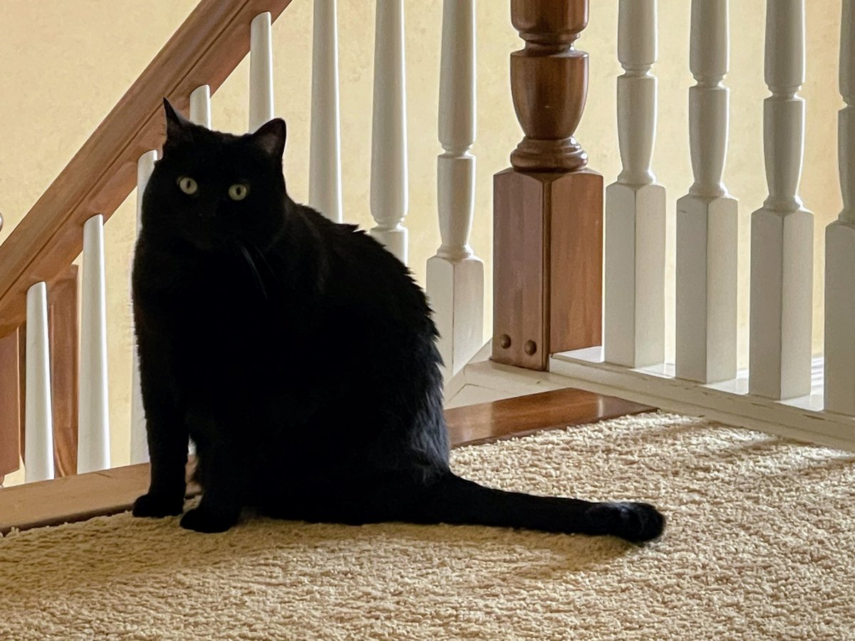WednesdayLoaf's tweet photo. https://t.co/p1zgmk8gUY