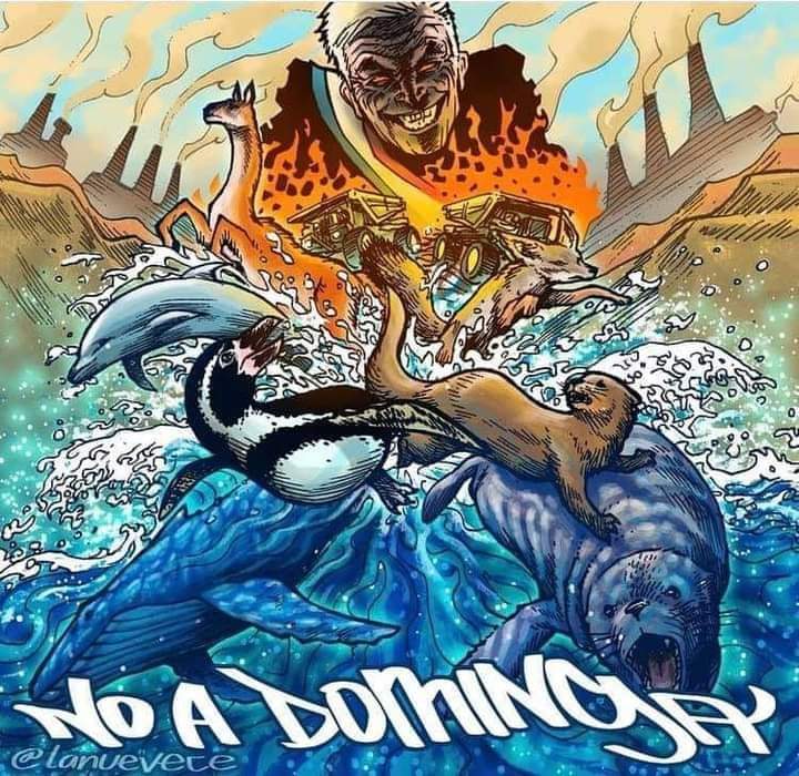 FerMatteotti's tweet photo. El mejor dibujo de No a Dominga de Lucas y Emilio Alvayay @lanuevece en Instagram. https://t.co/GKJ9hLSSEu