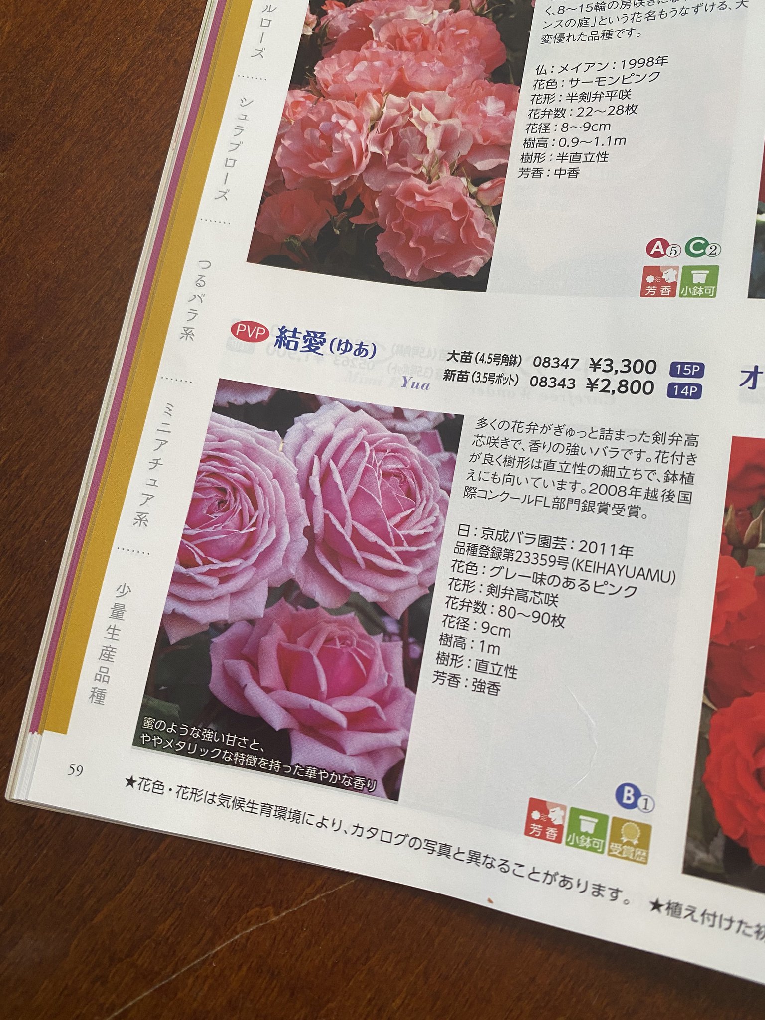 Yuko Kotaki 年に一度送ってくれる京成バラ園のカタログ をつらつらと眺めていたのだけど 昨年末 名前も分からず瀕死の状態のバラをセールで手に入れて今年の春咲かせたバラ の名前は 結愛 なのじゃない うん 絶対にそうだ ばら Yuko Kotaki 年に一度送ってくれる京成バラ園のカタログ をつらつらと眺めていたのだけど 昨年末 名前も分からず瀕死の状態のバラをセールで手に入れて今年の春咲かせたバラ の名前は 結愛 なのじゃない うん 絶対にそうだ ばら