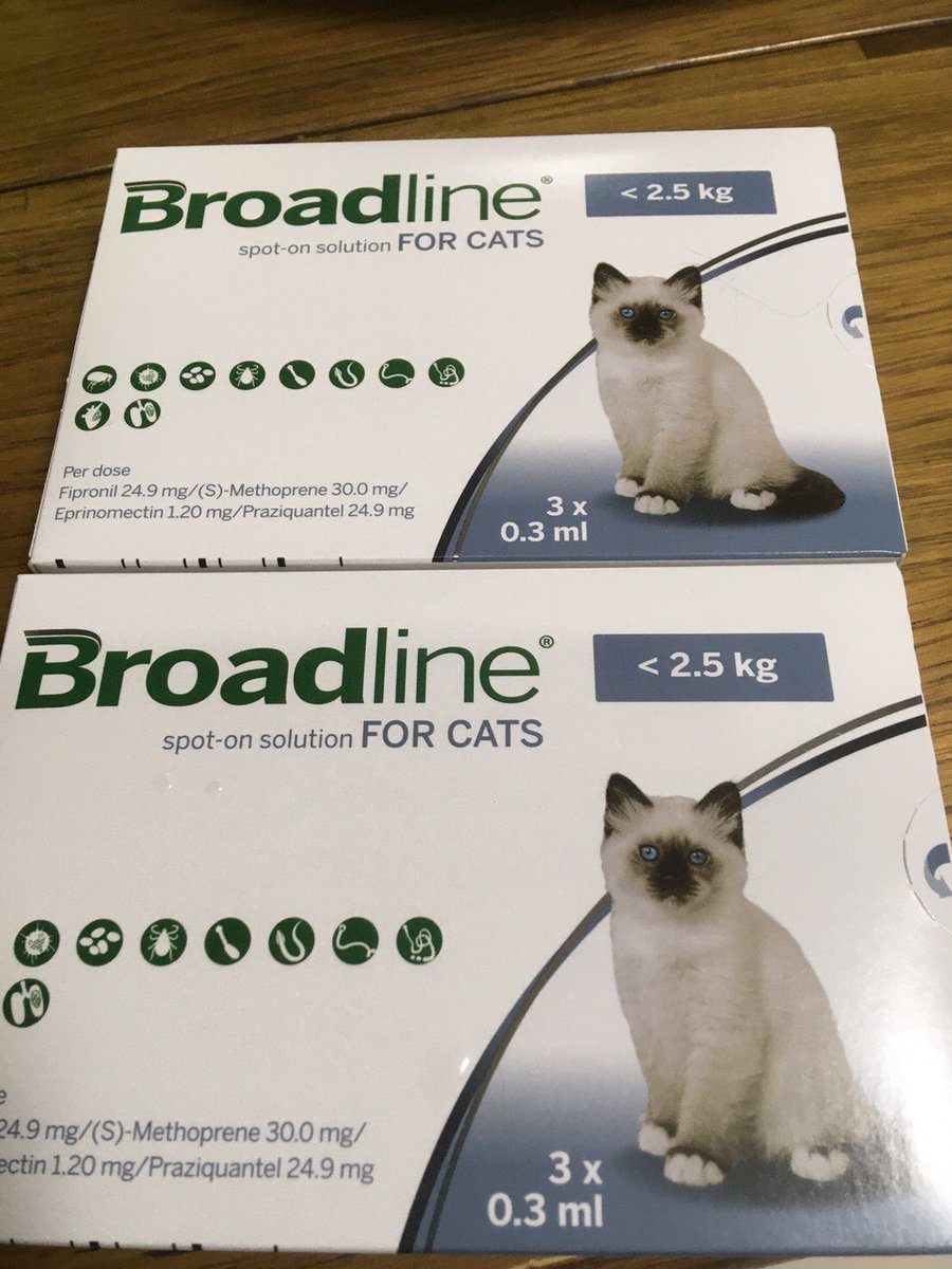 Little_Cats16's tweet photo. 【御礼】
この度、ぽちたま薬局@pochi10tama さまより、保護猫達のために、以下物資をご支援いただきました❣️
ありがとうございます。
大変助かります😊

#リトルキャッツ https://t.co/xaENj8yOMS