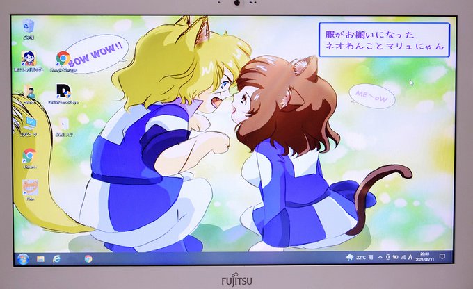 これを見た人は自分がかわいいと思う画像を貼れのtwitterイラスト検索結果