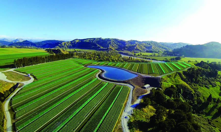 Riversun Nursery Limited – where the vintage begins 

Thanking you for your support of The Whole Bunch - Christchurch /  Ōtautahi 9-10 September 2021

#pinotnoirnz #nzwine #thewholebunch