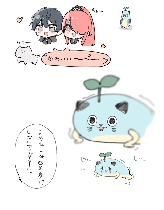 #まめねことレオス 