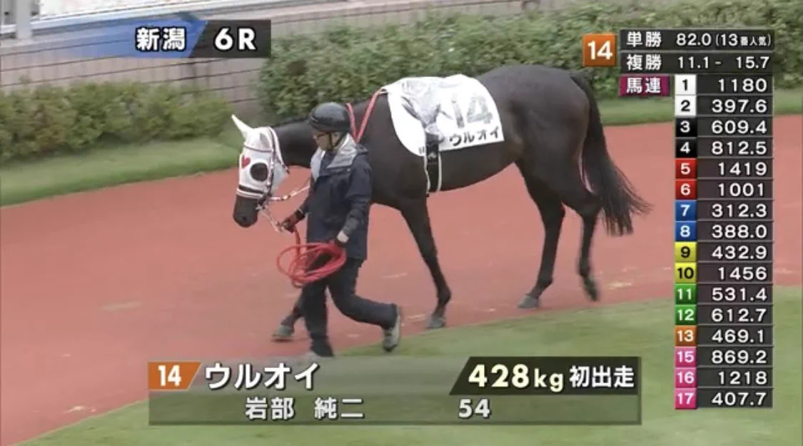 新馬戦に『ウルオイ』が登場！その家族の名前も可愛いと話題に！
