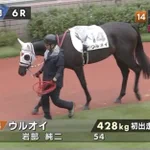 新馬戦に『ウルオイ』が登場!その家族の名前も可愛いと話題に!