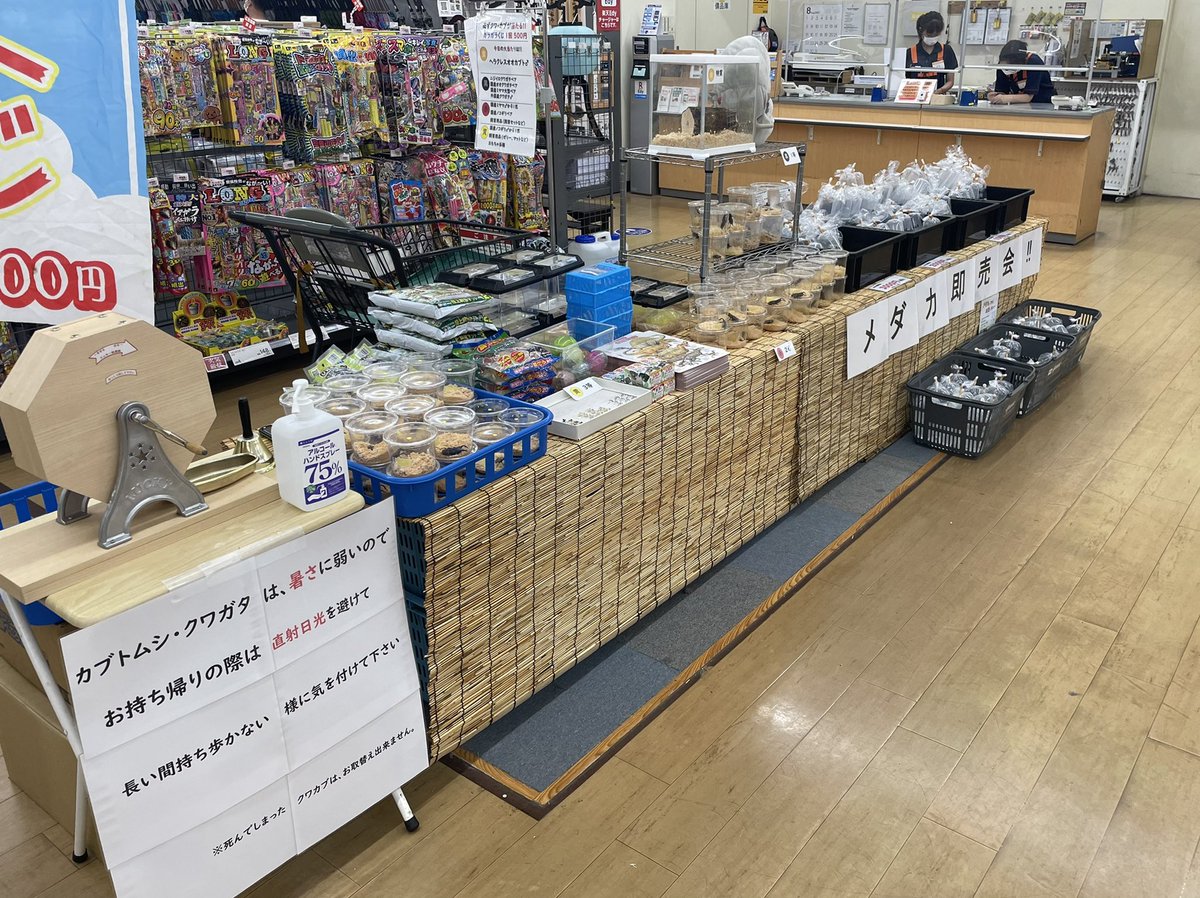 ランバージャック横浜店 開店から店舗 クジ共にたくさんのご来店ありがとうございました 今は少し落ち着いているので ゆっくりとご覧になれると思います 皆様のご来店お待ちしております 渓太 ランバージャック横浜店 開店から店舗 クジ共にたくさんのご来店ありがとうございました 今は少し落ち着いているので ゆっくりとご覧になれると思います 皆様のご来店お待ちしております 渓太